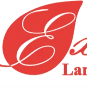 Executivescape llc - Logo