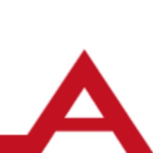 Any and All Renovations - Logo