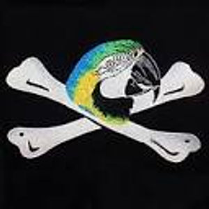 Charleston Pirate Tours - Logo