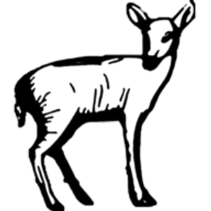 Doe Bay Resort & Retreat - Logo