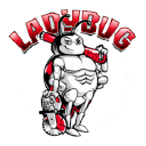 Ladybug Concrete Specialties Inc