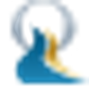Outdoor Systems, Inc. - Logo