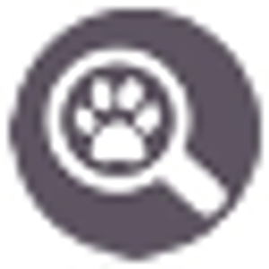 AMS - Logo