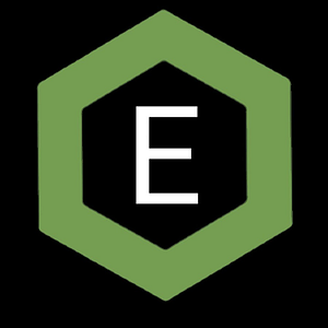 Executive Town Car and Limousine Service - Logo