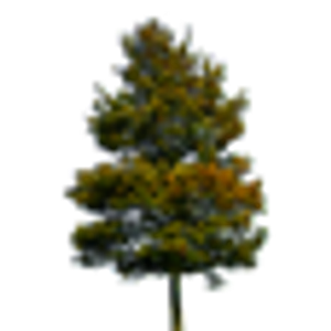 Matthew's Tree Service Inc - Logo