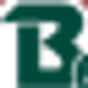 Baumgartner Homes Inc - Logo