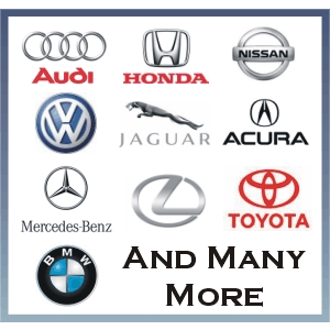 In Tune Imports of Holland - Logo