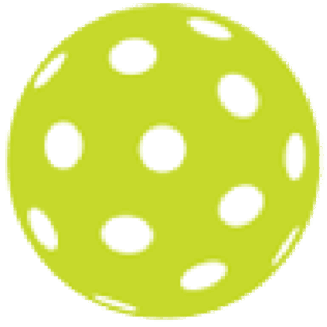 Pin Point Indoor Pickleball & Golf - Logo