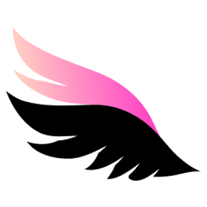 Angels Help Cleaning services, LLC