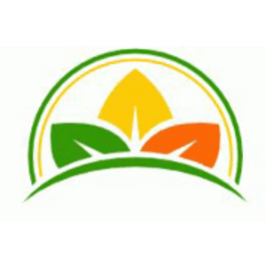 Citrus Clean House Cleaning