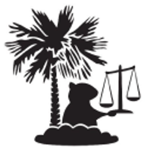Palmetto Legal Gophers - Process server in Charlotte