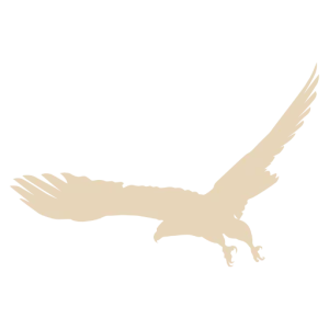 EagleView Roofing LLC