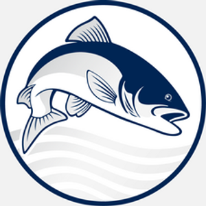 Premier Packing - Logo