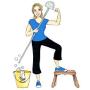 The Cleaning Crew, LLC - Logo