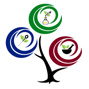 Holistic Health Care Miami