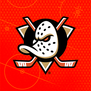Anaheim Ducks Team Store - Sports memorabilia store in Anaheim