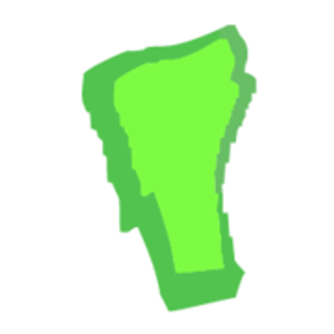 Vermont Lazerwash - Logo