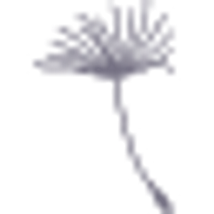 The Breathing Room - Logo