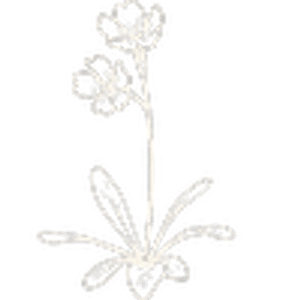 Home Range Brewing - Logo