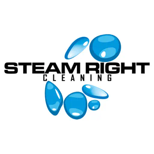 Steam Right Cleaning - Logo