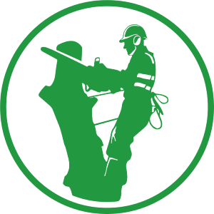 HH Accurate Arborists