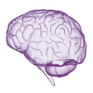 LearningRx - Logo