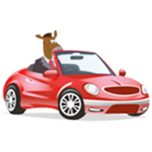 Austin Driving School