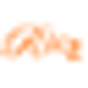 Rizos Spa - Logo