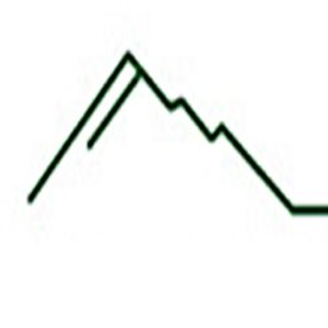 Timberline Physical Therapy - Vancouver