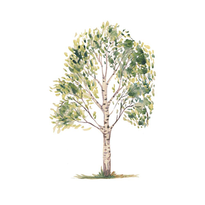 White Birch Floral Studio - Logo