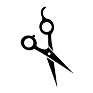 Northlake Color Lab Salon - Logo