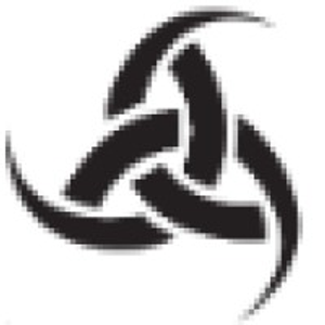 Viking Armament LLC - Logo