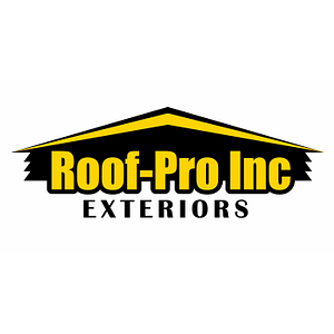 Roof Pro