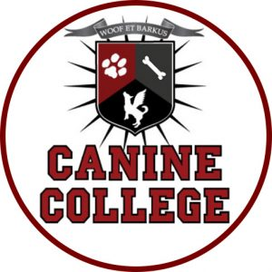 Canine College