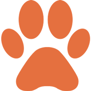 PetNation Animal Hospital - Veterinarian in Toronto