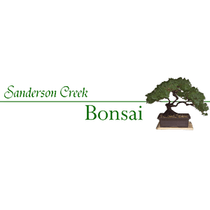 Sanderson Creek Bonsai