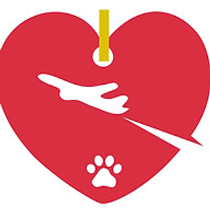 Dallas Dog Daycare and Boarding - Logo