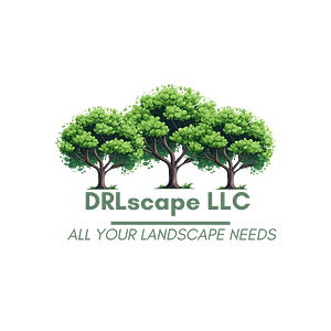 DRLscape LLC - Logo