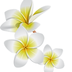 The Frangipani Therapeutic Massage and Skin Care - Logo