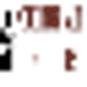 Northern Aire Properties - Logo