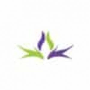 Skilled Touch Health & Healing - Logo