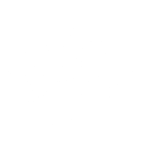Sacred Lotus Healing - Logo