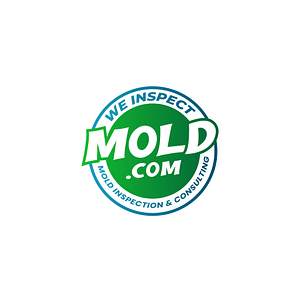 WeInspectMOLD.com - Logo