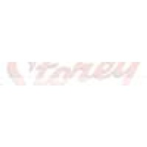Storey Wrecker - Logo
