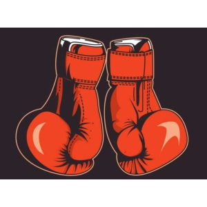 Knockout Home Inspections