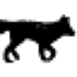 Fox Hollow Flowers - Logo