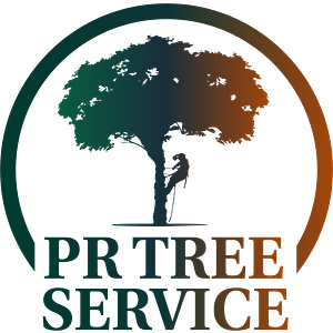 PR Tree Service