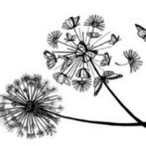 Integrated Therapeutic Solutions, LLC - Logo