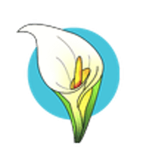 Licha's Cantina - Logo