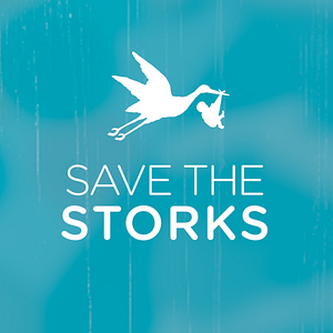 Save The Storks - Logo